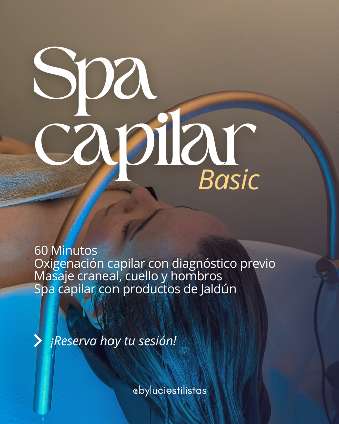 spa capilar basic by luci estilistas