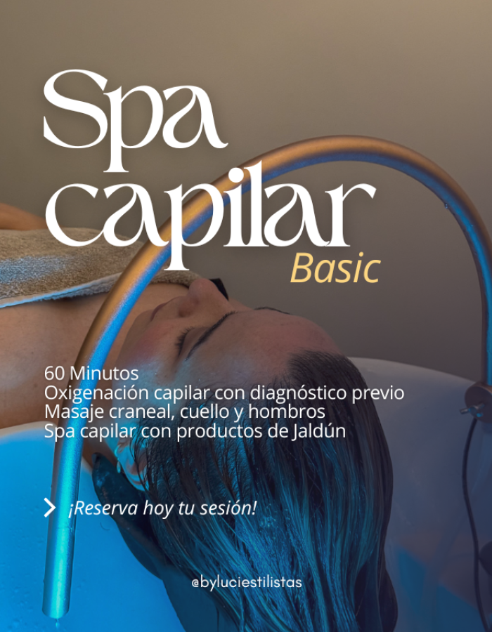 spa capilar basic by luci estilistas